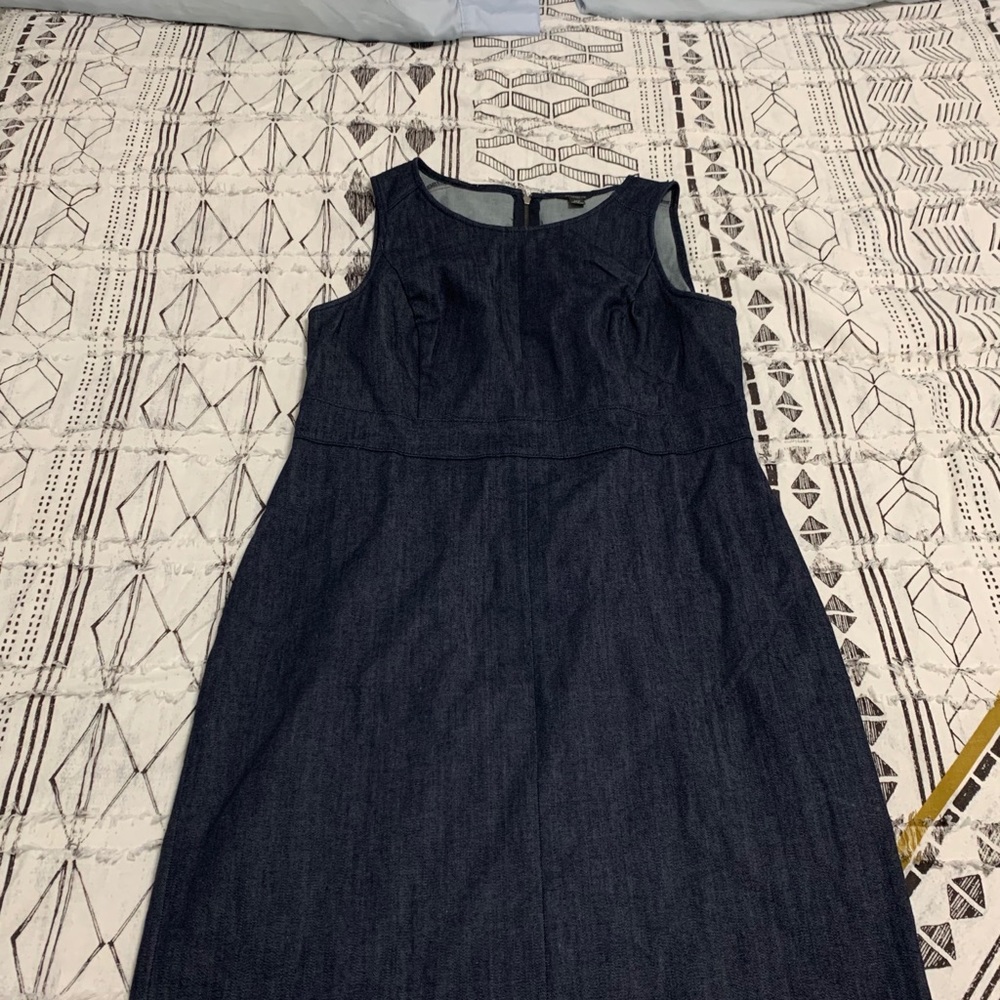 Ann Taylor Jean Dress